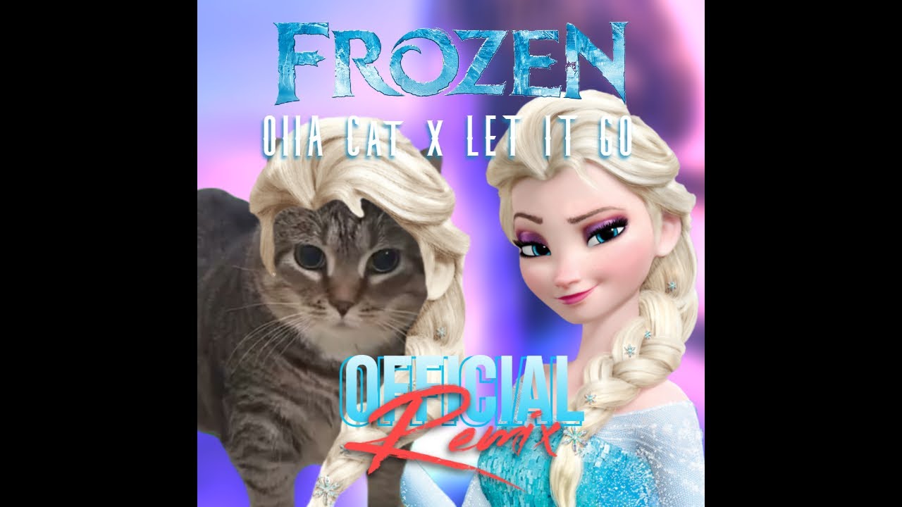 OIIA Cat x Let it Go (Official Remix)