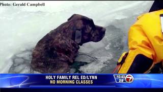 WHDH TV 1000 PM Falmouth Dogs Thru Ice 02 14 15