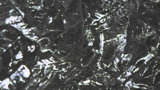 Fossils Lab Station 1_1