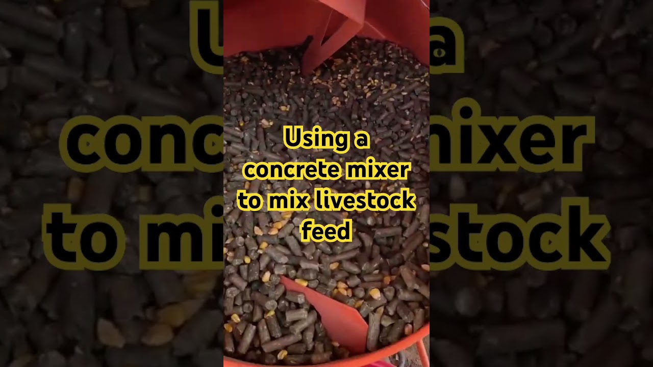 Mixing feed with a concrete mixer 
