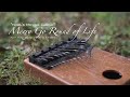 Merry Go Round of Life - Howl&#39;s Moving Castle (mbira cover by April Yang)