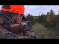 Perfekt fr sauen drckjagd mit dem z8i von swarovski optik  hunter brothers