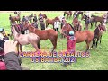 GRAN CARRERA DE CABALLOS - USIBAMBA 2021