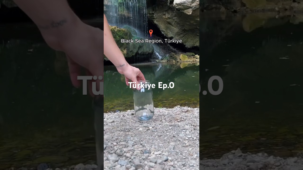 743 days ago, I made an ecosystem!