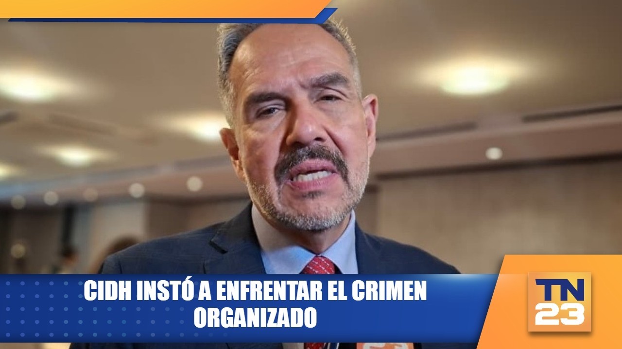 CIDH instó a enfrentar el crimen organizado