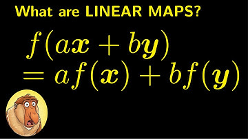 What Are Linear Maps and Why Are They So Important?