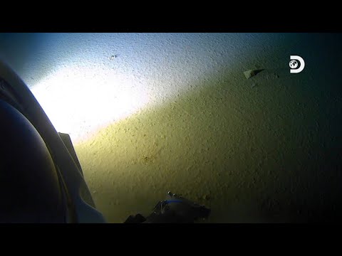 [NEU] 11HRS Atemberaubende 4K-Unterwasseraufnahmen + Musik | Seltenes und buntes Meeresleben UHD