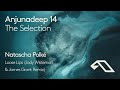 Natascha Polké - Loose Lips (Jody Wisternoff &amp; James Grant Remix)