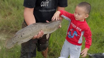 Tìm bắt con cá trê khủng ở cái ao bỏ hoang #cávàng #fishing #tìmbắtcávàng #concá