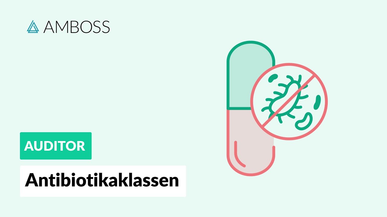 Antibiotika–Wirkmechanismen–Übersicht (Penicilline, Cephalosporine, Makrolide, Fluorchinolone, etc.)