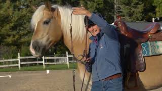 2022 WDAA Basic Level test 4, Open score was 81.153 Suzanne Morisse and Sabreena Sue Net Worth