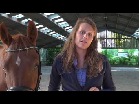 #3ABC Les chevaux sont généreux