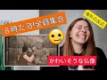 外国人がドリフの8時だよ全員集合の爆笑「ピラミッド探検」をみてリアクションする/日本のお笑い