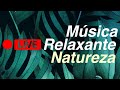 🔴 LIVE Música Relaxante e Natureza – Paisagens &amp; Imagens Relaxantes para Acalmar a Mente e Relaxar