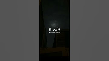 اكتب شيء تؤجر عليه 😴 💚 قران كريم | عبدالرحمن مسعد