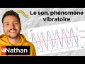 Exercice le son phnomne vibratoire  le niveau sonore  enseignement scientifique  premire