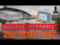 Рыбалка троллингом - Реки Волхов и Сура - Русская Рыбалка 4