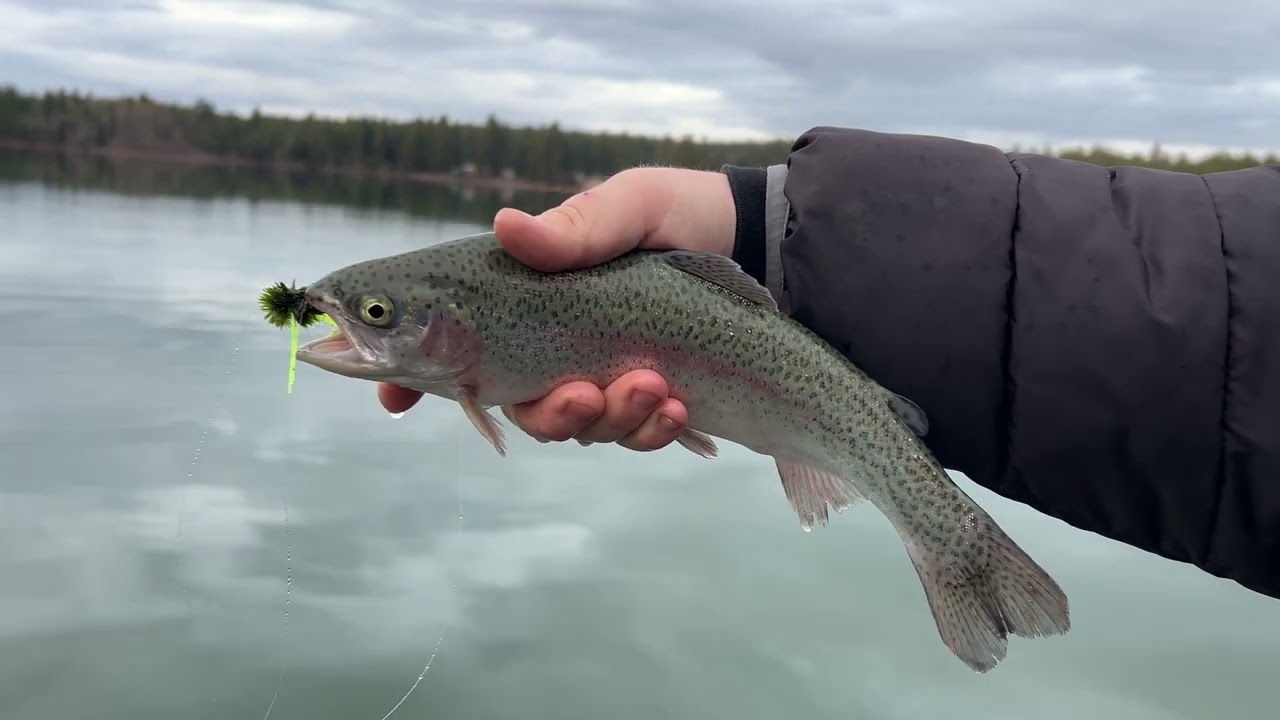Central Oregon Trout Fishing with Jacob’s Jigs (4K Upload!)