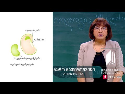 ბიოლოგია, VII კლასი - ყვავილოვანი მცენარეების განაყოფიერება #ტელესკოლა