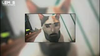 DJ IM LOCO ( slowed   reverb )