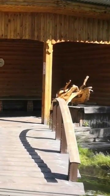 Байкал, Бурятия, горячие источники "Хакусы" - YouTube