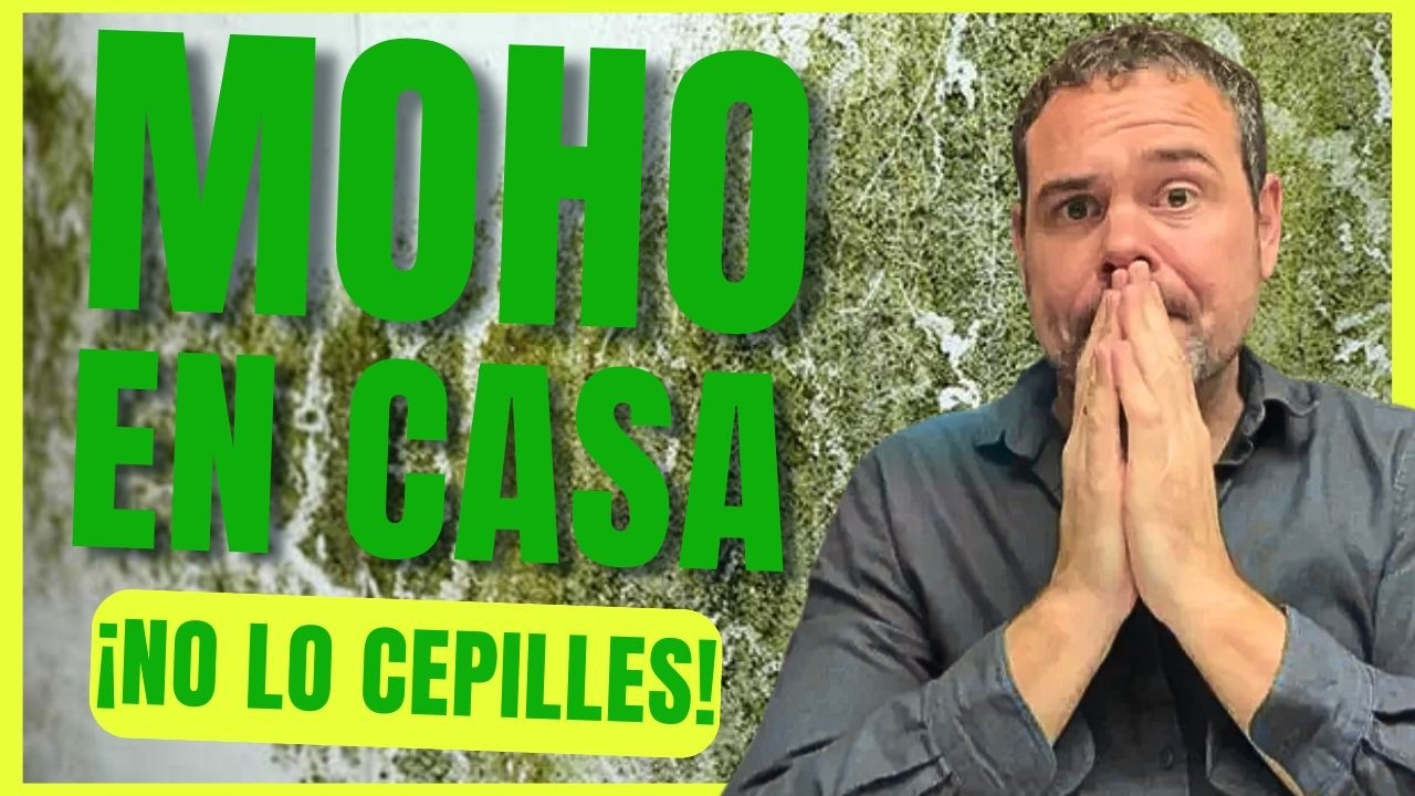Cómo eliminar el 🦠MOHO y las 💦HUMEDADES para siempre👌🏻 3 recetas caseras