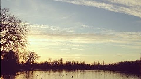 An Introduction to Mindfulness