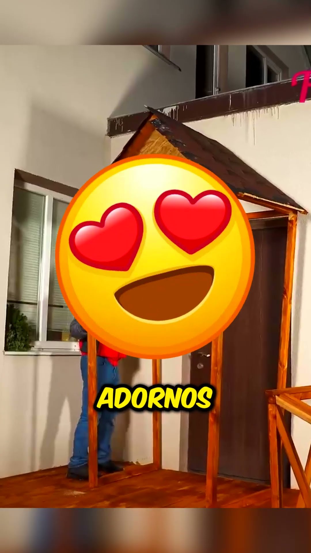 La abuela tropezó y cayó, pero un amable desconocido le construyó un nuevo porche ?