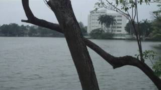 Laguna de las Ilusiones, Tabasco