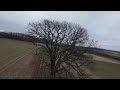 Alte Eiche Impressionen am 14.02.2026