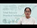 Trial Balance with Practical Example