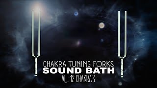 Tuning Fork Sound Healing Vibes | All 12 Chakra Frequencies | Sound Bath by Sound Energy Alchemist 16,529 views 3 months ago 40 minutes