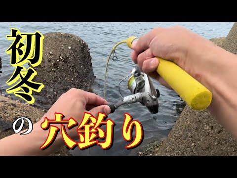 11月の穴釣り