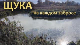 ЖОР ЩУКИ!!! Рыбалка в Переславле на лесной речке.