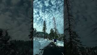 bas ek Nazar us ko dekha #utubeshorts #travel #kashmir #nature #utube #viral #snow #viralshorts