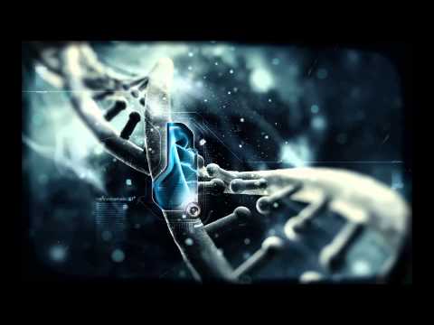 True Leap - Assimilate