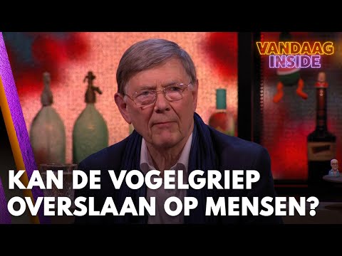 Hoe groot is de kans dat vogelgriep overslaat op mensen? | VANDAAG INSIDE