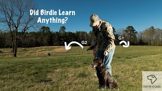 Repeating a Marking Setup (Retriever Training)