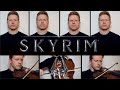 Skyrim Dragonborn - Cover (100k Subscriber Special)