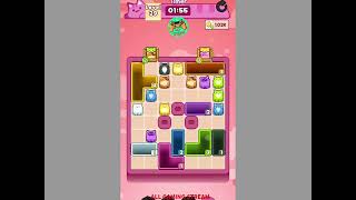Drop The Cat! Level 29 Gameplay 