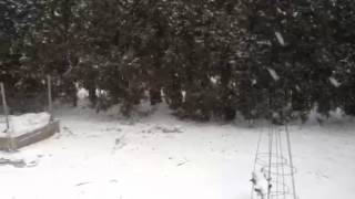 Snow in Portland 2/6/14 by Andi Astoria 40 views 10 years ago 15 seconds