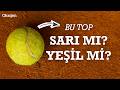 Tenis topu rengi neden değişti? | Sadece siyahı ve beyazı vardı | David Attenborough | Kısa Set