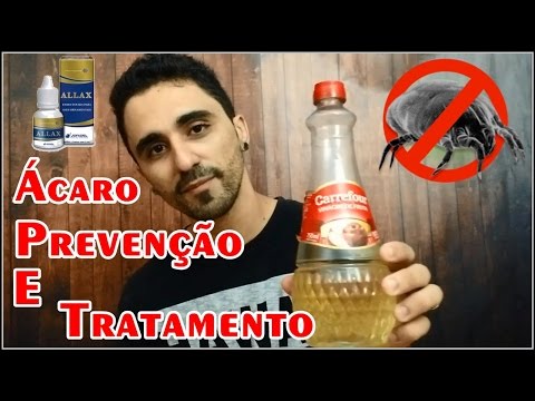 Vídeo: Ácaros De Pássaros: Fotos, Mordidas, Tratamento E Prevenção