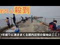 釣り人殺到!1年振りに千葉の突堤で魚が湧きまくる聖地はここ!