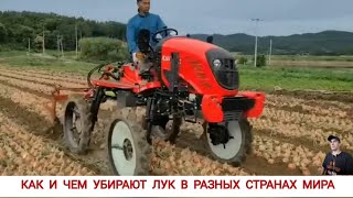 видео: КАК И ЧЕМ УБИРАЮТ ЛУК В РАЗНЫХ СТРАНАХ МИРА/HOW AND WHAT ARE ONIONS COLLECTED IN DIFFERENT COUNTRIES картинка: КАК И ЧЕМ УБИРАЮТ ЛУК В РАЗНЫХ СТРАНАХ МИРА/HOW AND WHAT ARE ONIONS COLLECTED IN DIFFERENT COUNTRIES