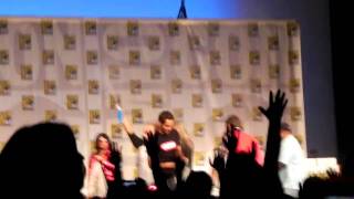 Comic Con 2010 Chuck panelists enter Net Worth
