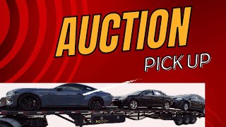 Manheim auto auction drop off bought sight unseen