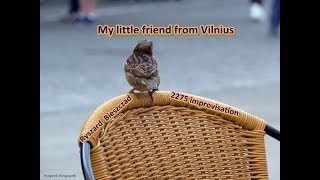 Video thumbnail of "My little friend from Vilnius  -  2275 improvisation"