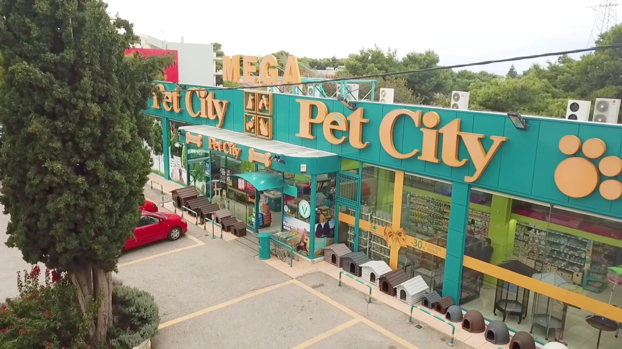 пэт сити. Petcity ee. Petcity. Pet city. Pet city.