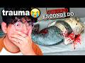 LOS PEORES CASOS INVESTIGADOS POR ALEXPH 😰💀